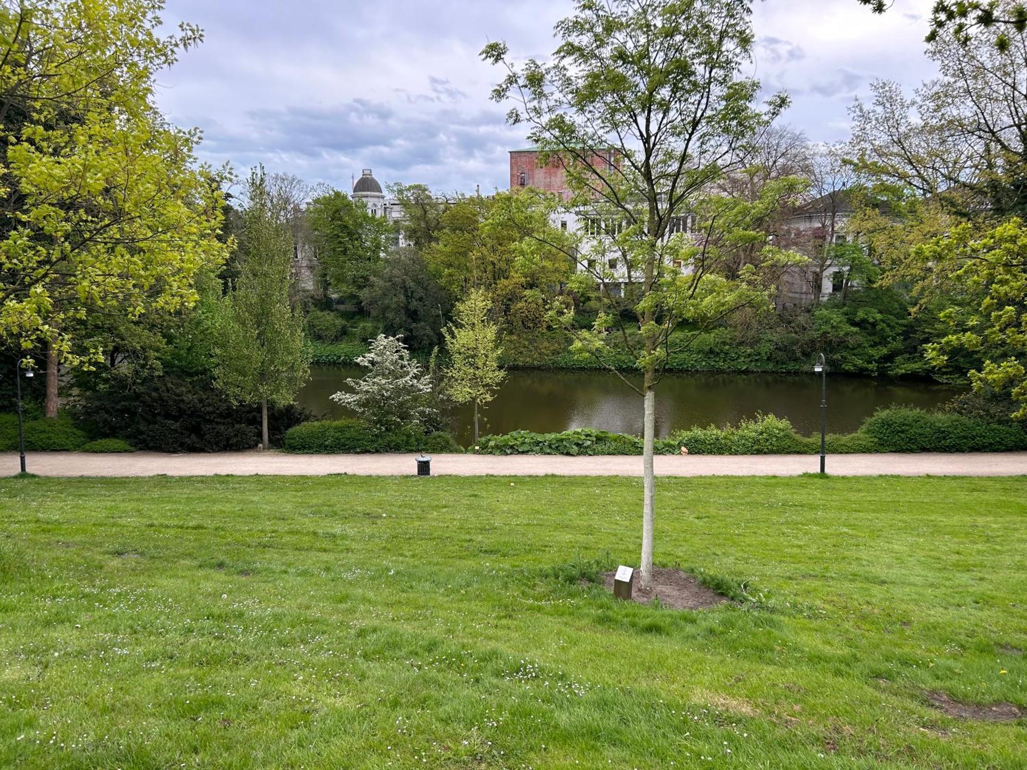 Homey Apartments - Riverside - Mit Weserblick Und Parkplatz Бремен Екстериор снимка